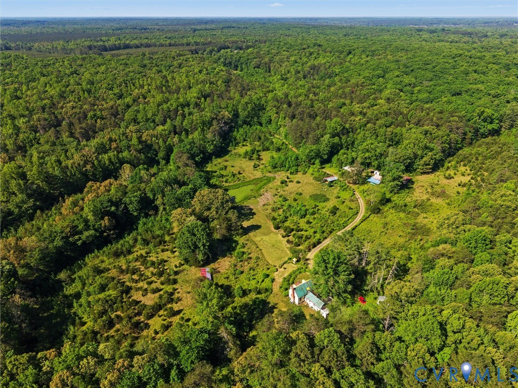 265 Signboard Road Bumpass, VA 23024 - Photo 7 of 39 Expansive wooded acreage featuring a main residenc