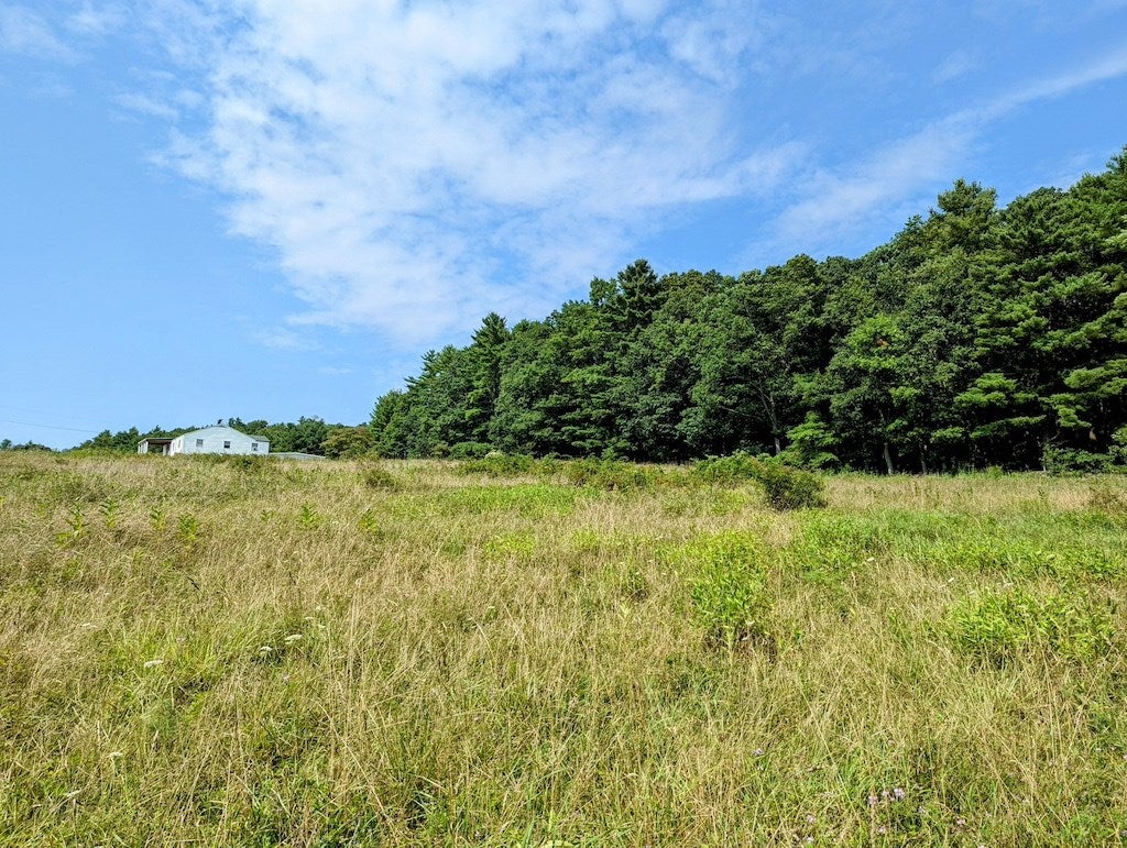 Five Camp Five Road Willis, VA 24380 - Photo 2 of 9 Gallery Image 2