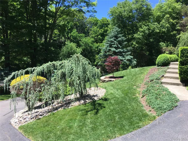 a view of a yard with a tree