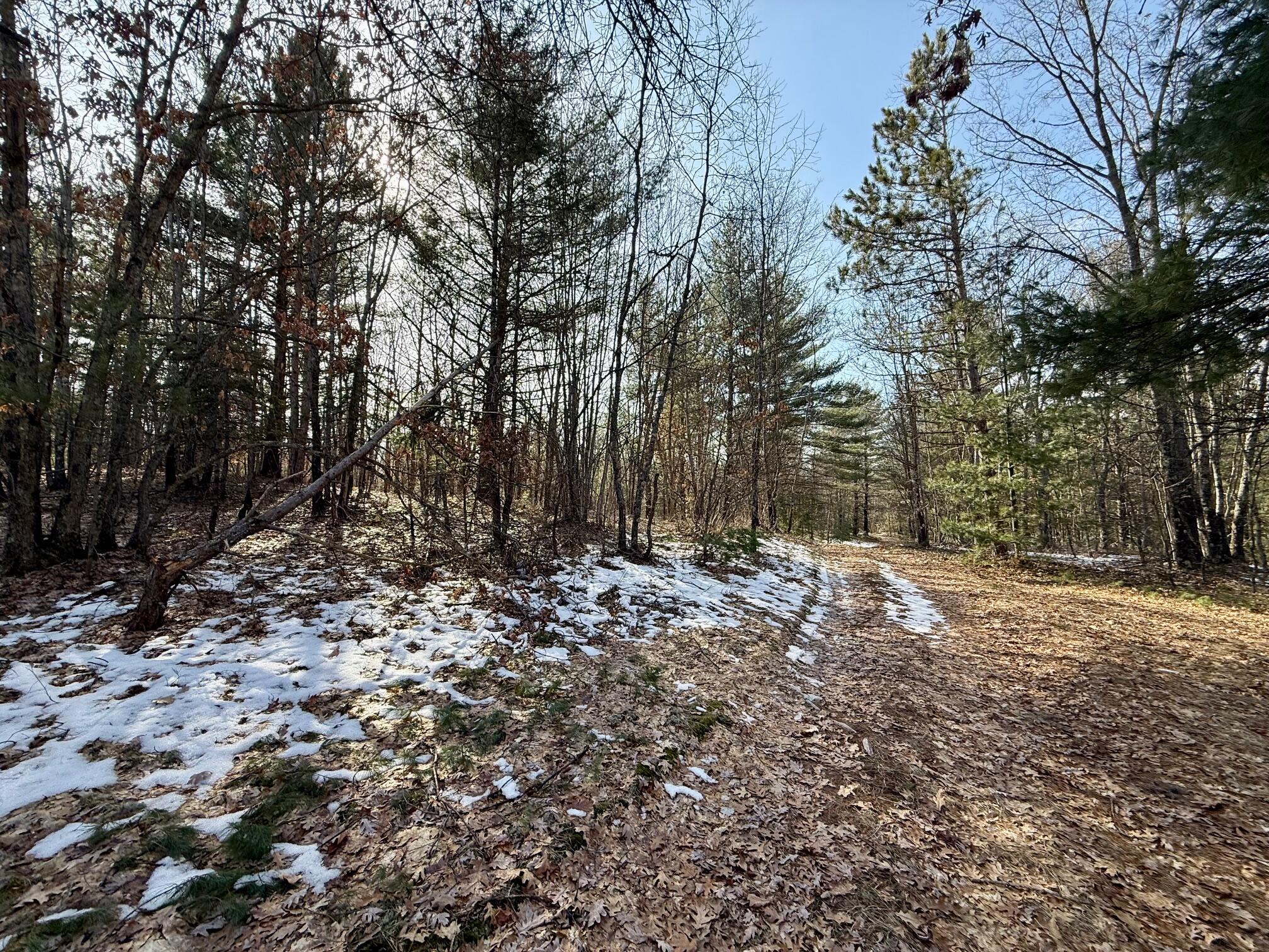 Vl North Merrillville Road Baldwin, MI 49304 - Photo 4 of 10 IMG_3238 - Copy