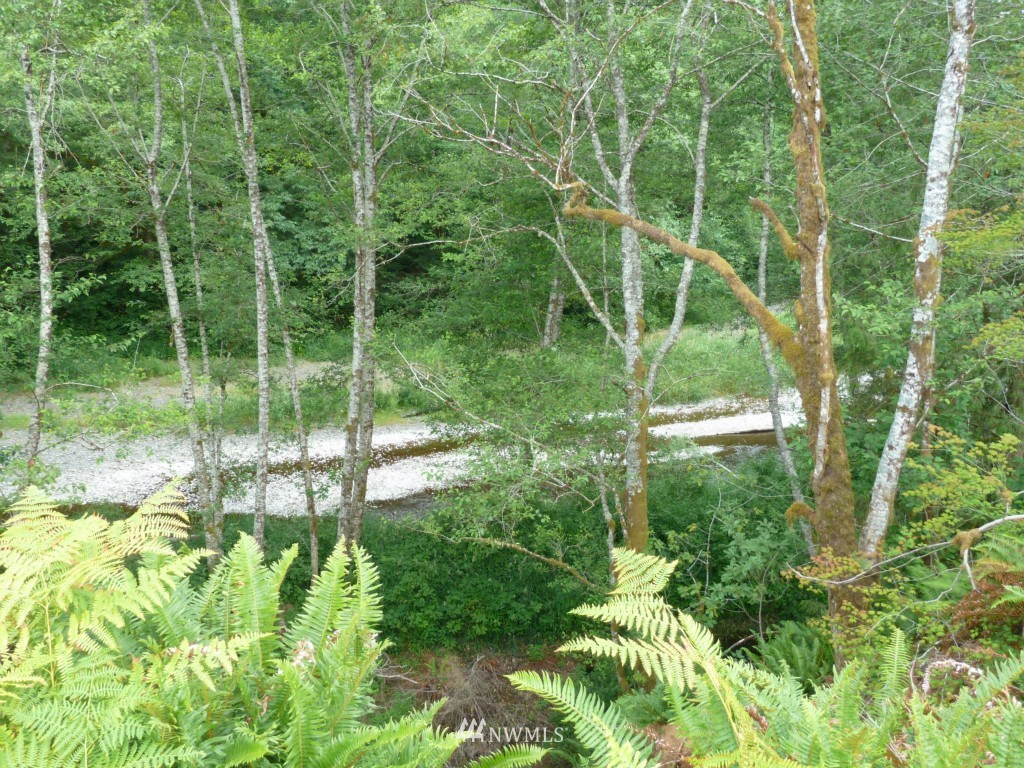 333 Cloquallum Road Elma, WA 98541 - Photo 2 of 9 Gallery Image 2