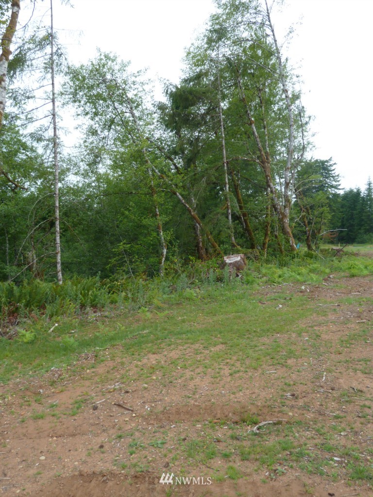 333 Cloquallum Road Elma, WA 98541 - Photo 7 of 9 Gallery Image 7