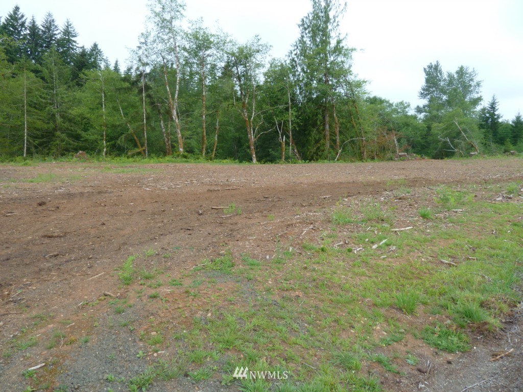 333 Cloquallum Road Elma, WA 98541 - Photo 9 of 9 Gallery Image 9