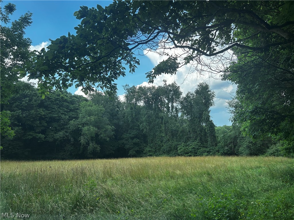 5742 Grove Road Clinton, OH 44216 - Photo 21 of 37 Beautiful Field
