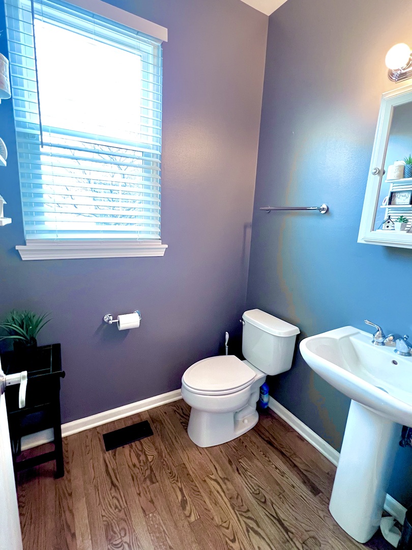 407 Post Oak Circle West Chicago, IL 60185 - Photo 13 of 23 a bathroom with a sink toilet and a window