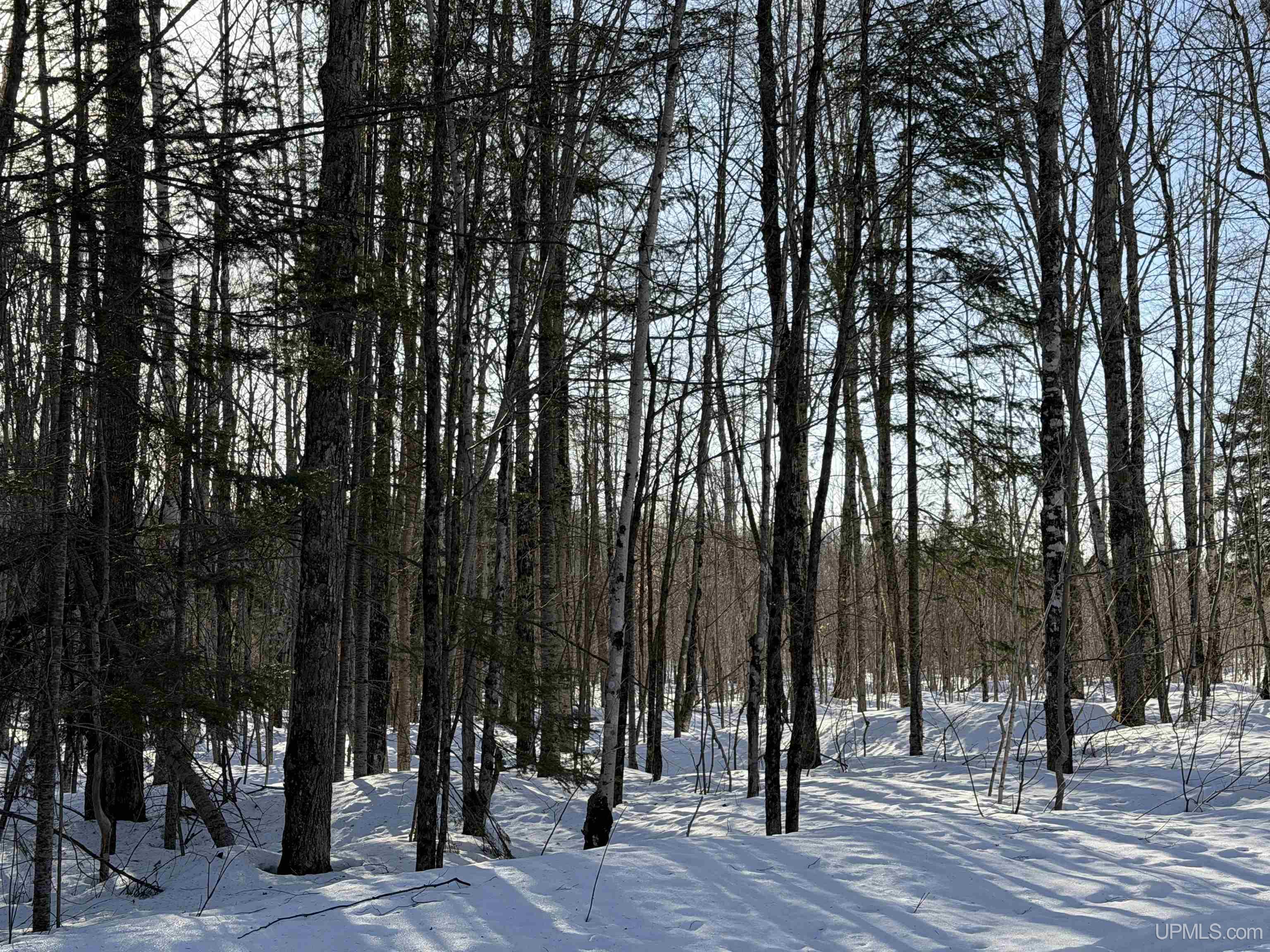 56-acres Halverson Road Skandia, MI 49885 - Photo 13 of 16