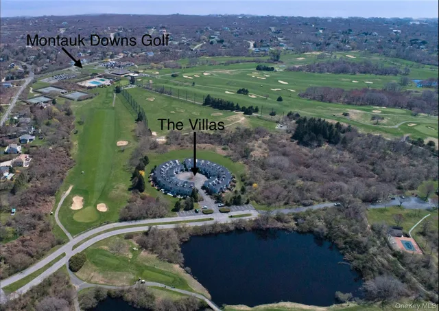 a view of a garden with a lake