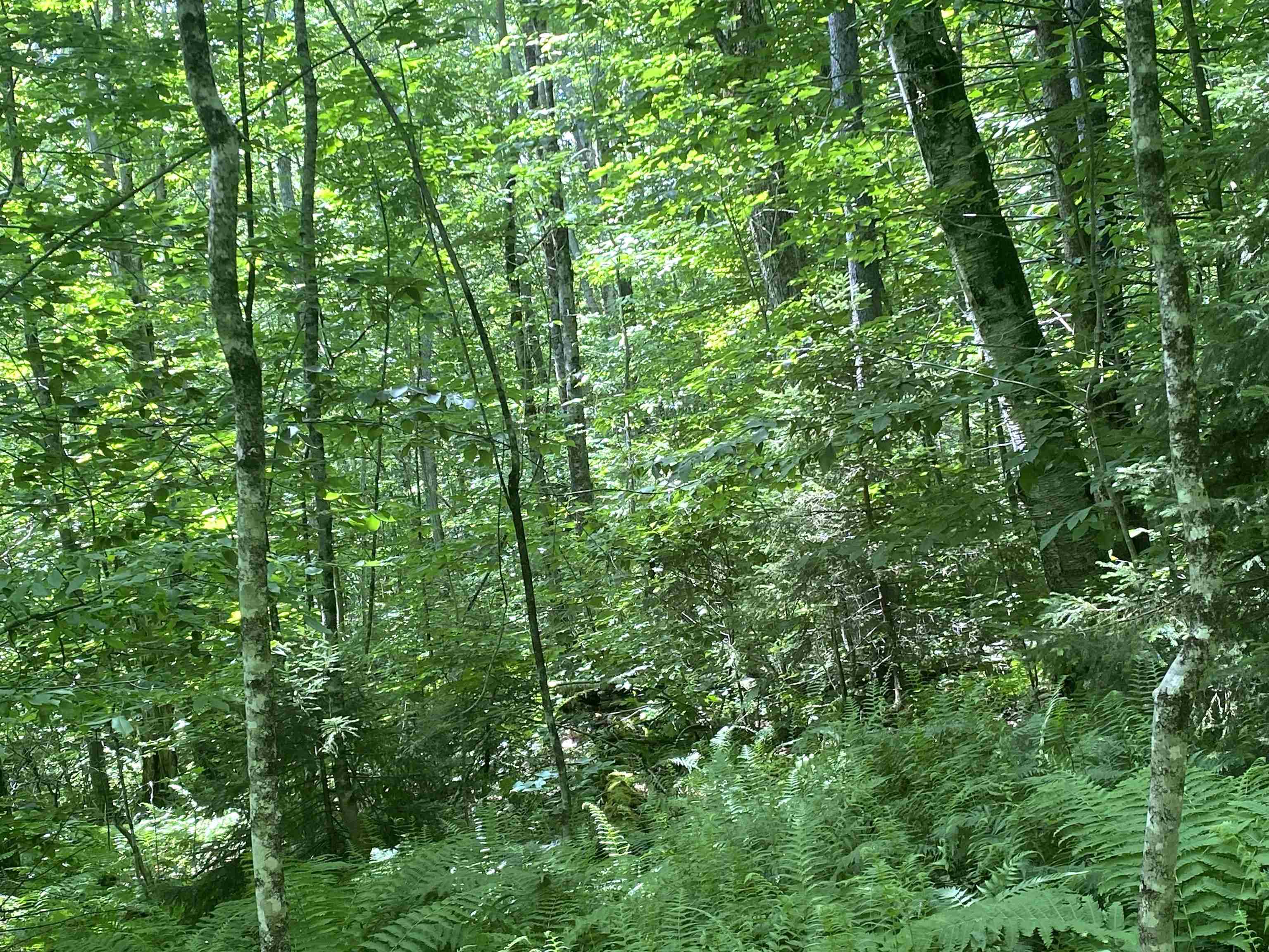 540 Shampeny Hill Road Hancock, VT 05748 - Photo 13 of 23