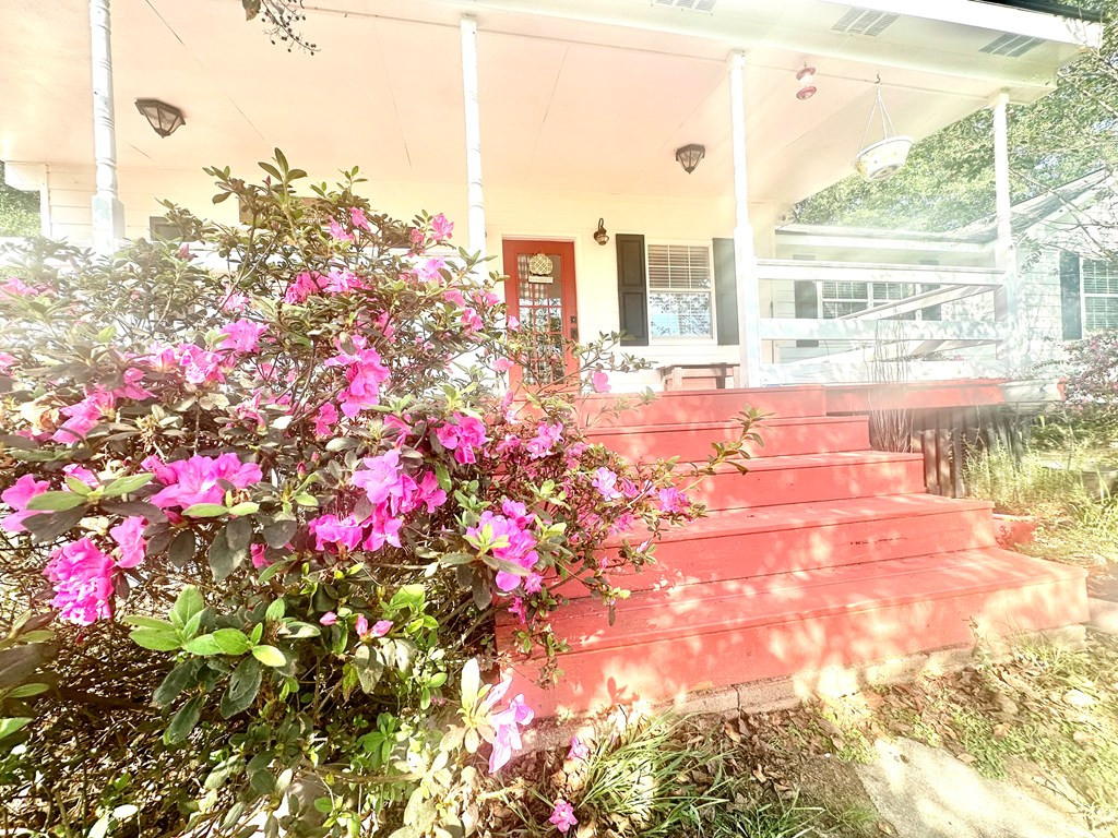 1114 Willis Cotton Road Summit, MS 39666 - Photo 30 of 38 Beautiful azaleas around the front porch