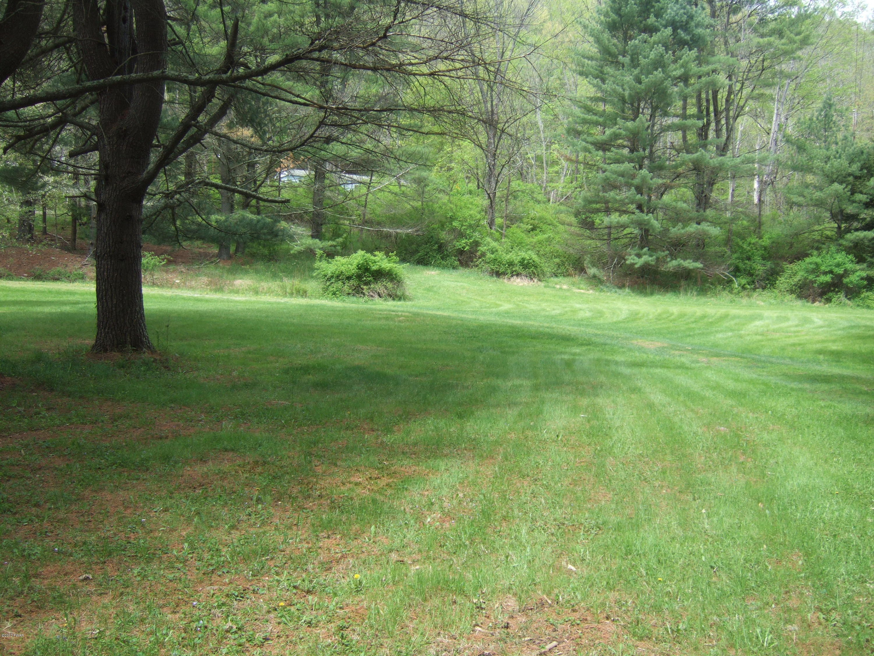 20 Old Peggy Runway Road Beach Lake, PA 18405 - Photo 4 of 26 Circular driveway