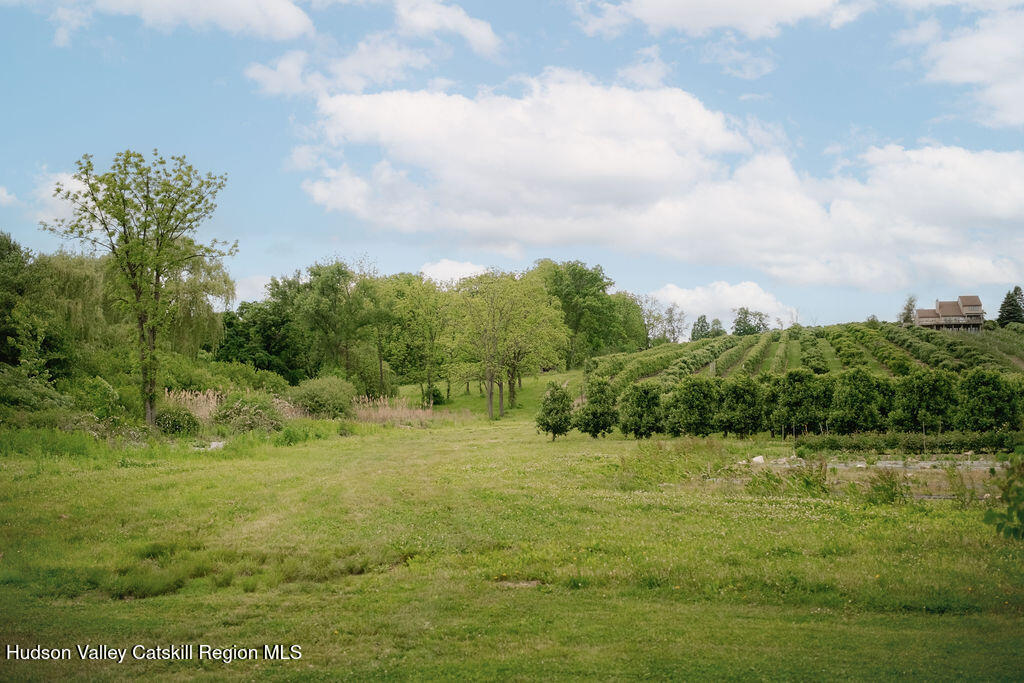 88 Rymph Road Pleasant Valley, NY 12569 - Photo 28 of 28 View of Orchards from House