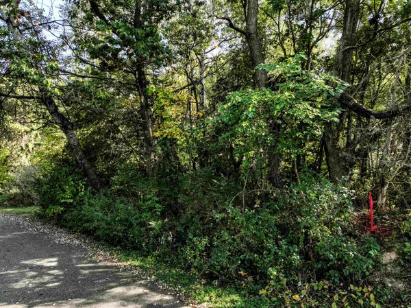 $114,900 | Lt2 Woodcrest Lane, Cambridge, WI 53523