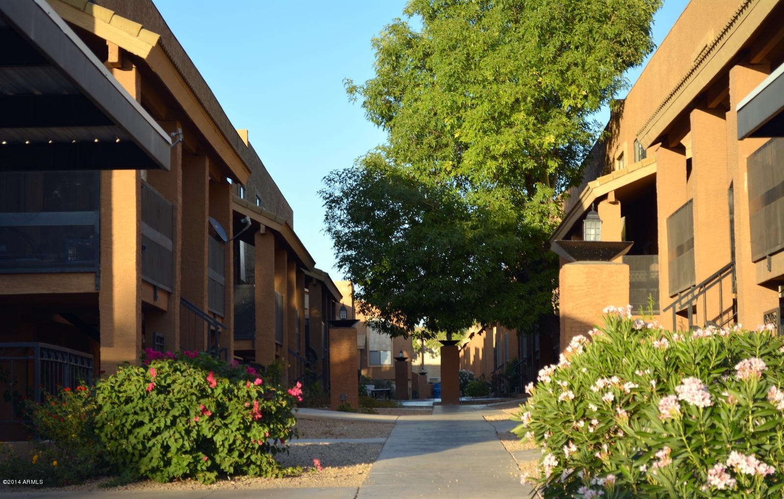 5401 East Thomas Road, Unit 1032 Phoenix, AZ 85018 - Photo 23 of 34 a view of path along with house and trees