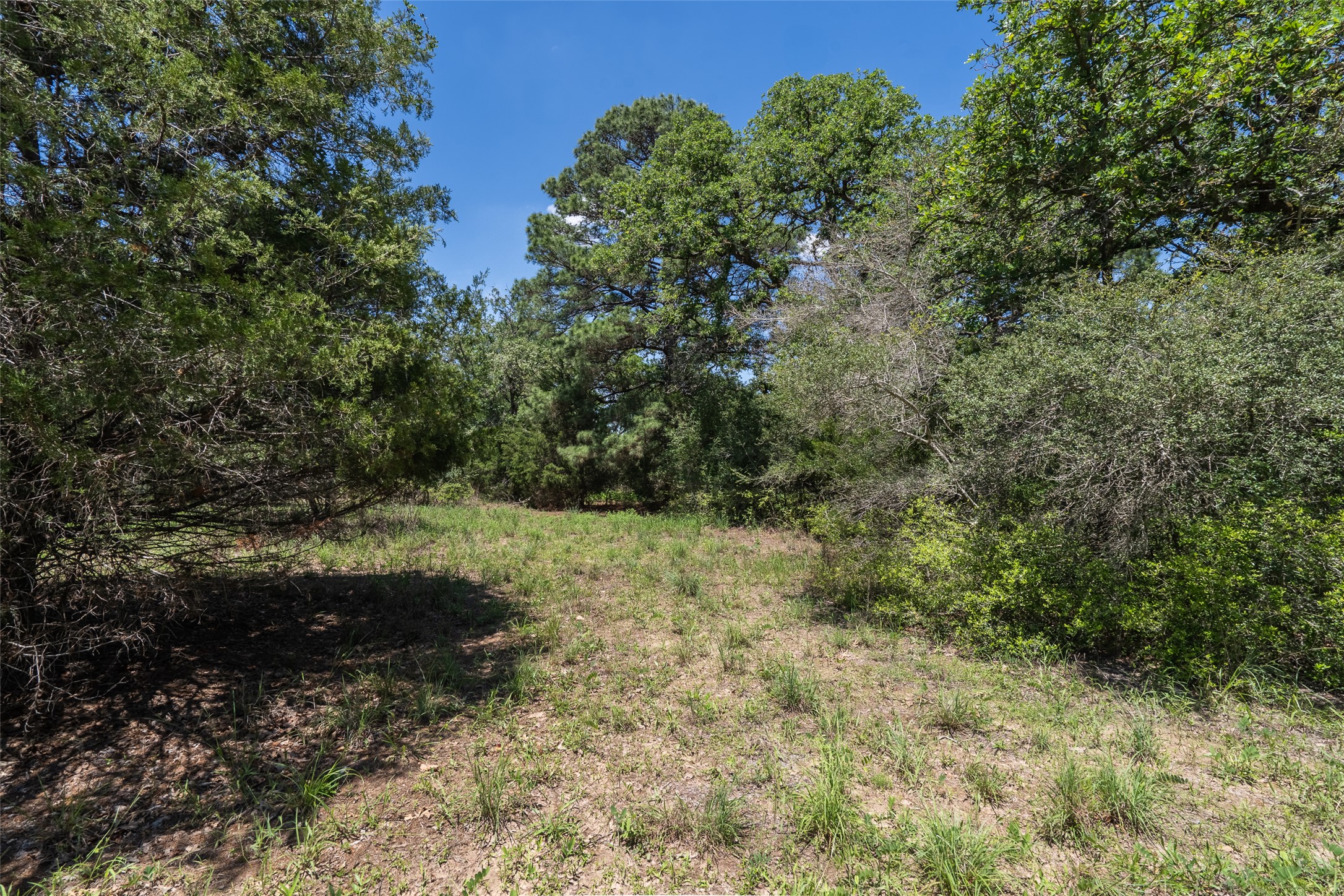 133 Roundup Ridge Smithville, TX 78957 - Photo 7 of 11