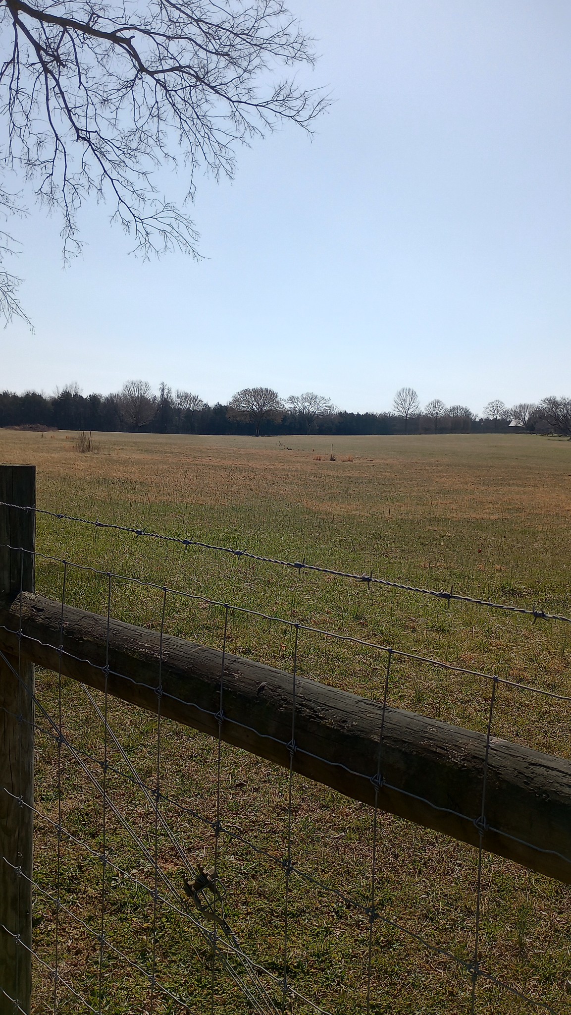 0 Verona Caney Road Lewisburg, TN 37091 - Photo 1 of 1 Gallery Image 1