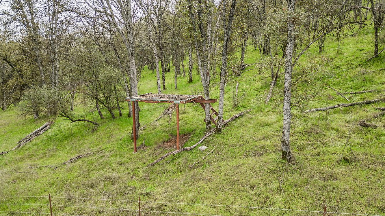 30240 Watts Valley Road Tollhouse, CA 93667 - Photo 57 of 65