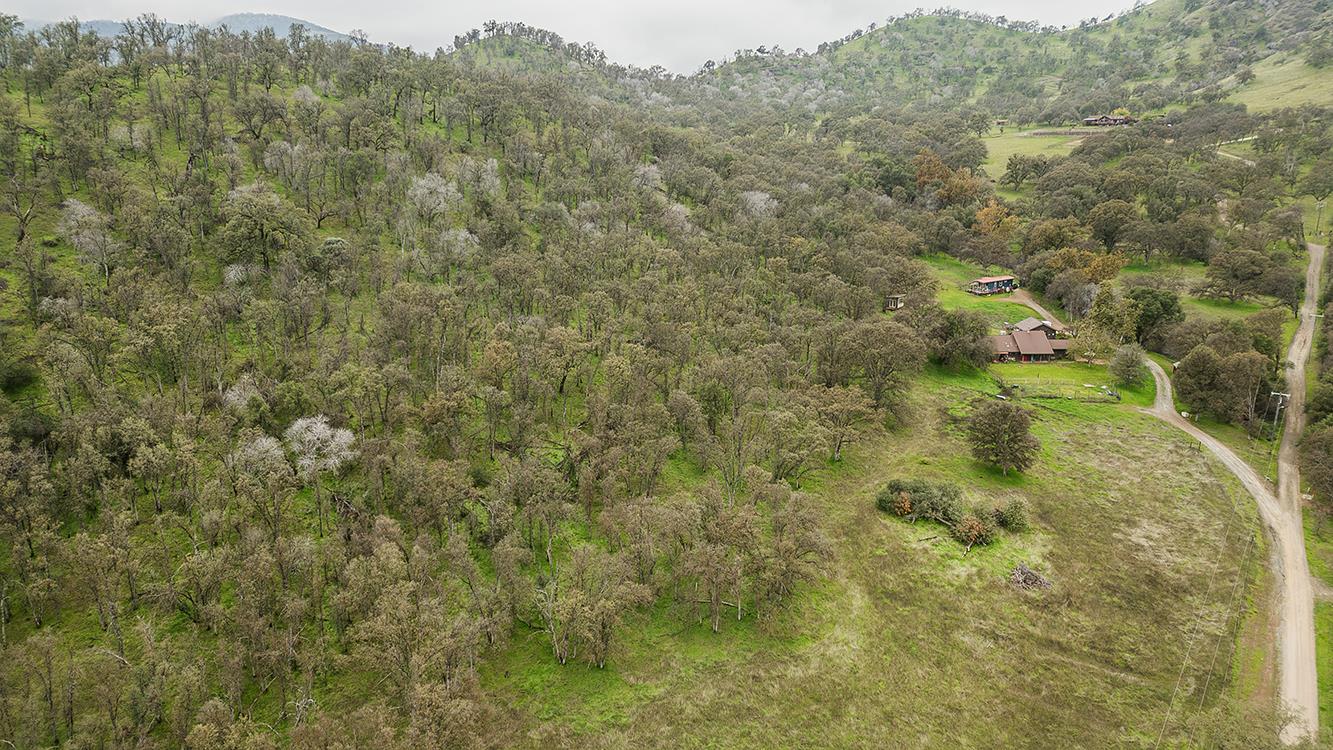 30240 Watts Valley Road Tollhouse, CA 93667 - Photo 58 of 65 a view of a yard with a tree