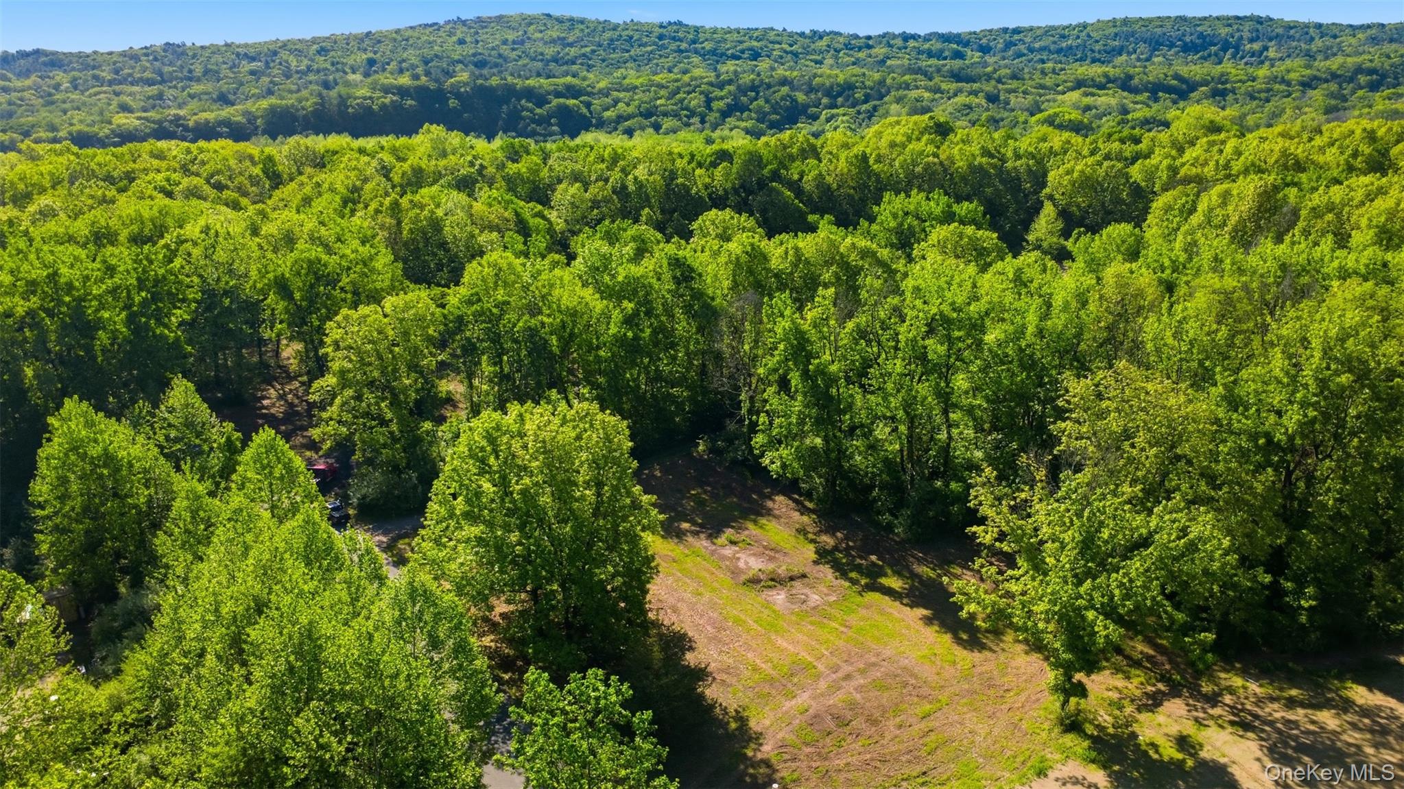 238 Bruceville Road High Falls, NY 12440 - Photo 6 of 15
