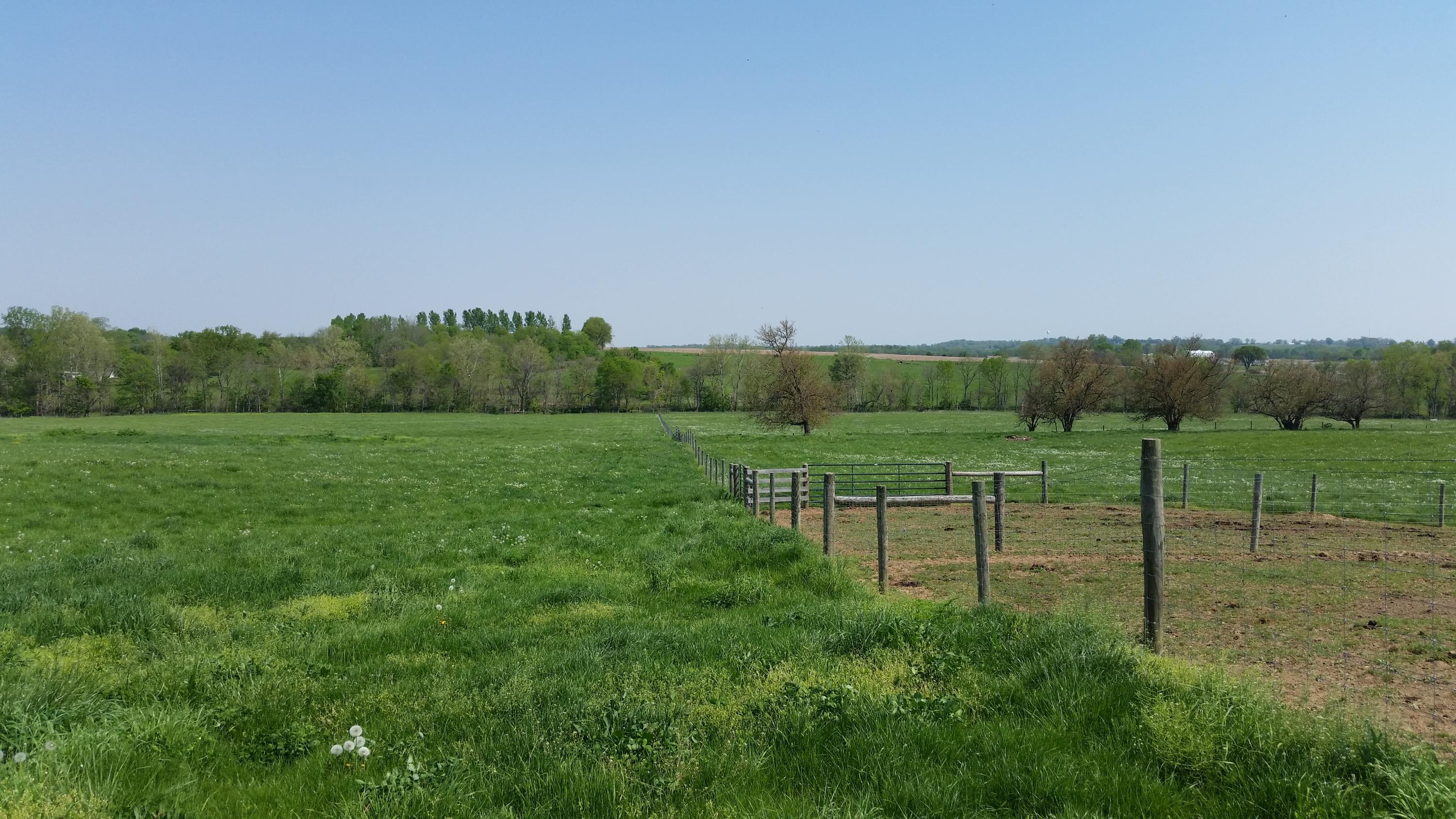 26658 Gay-Dreisbach Road Circleville, OH 43113 - Photo 16 of 32 Gallery Image 16
