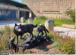 12707 Duckettown Road Laurel, MD 20708 - Photo 20 of 21 a view of yard with green space and seating area