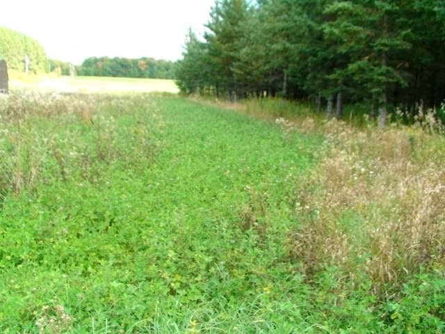 W799 R And H Road Gleason, WI 54435 - Photo 8 of 52 Gallery Image 8