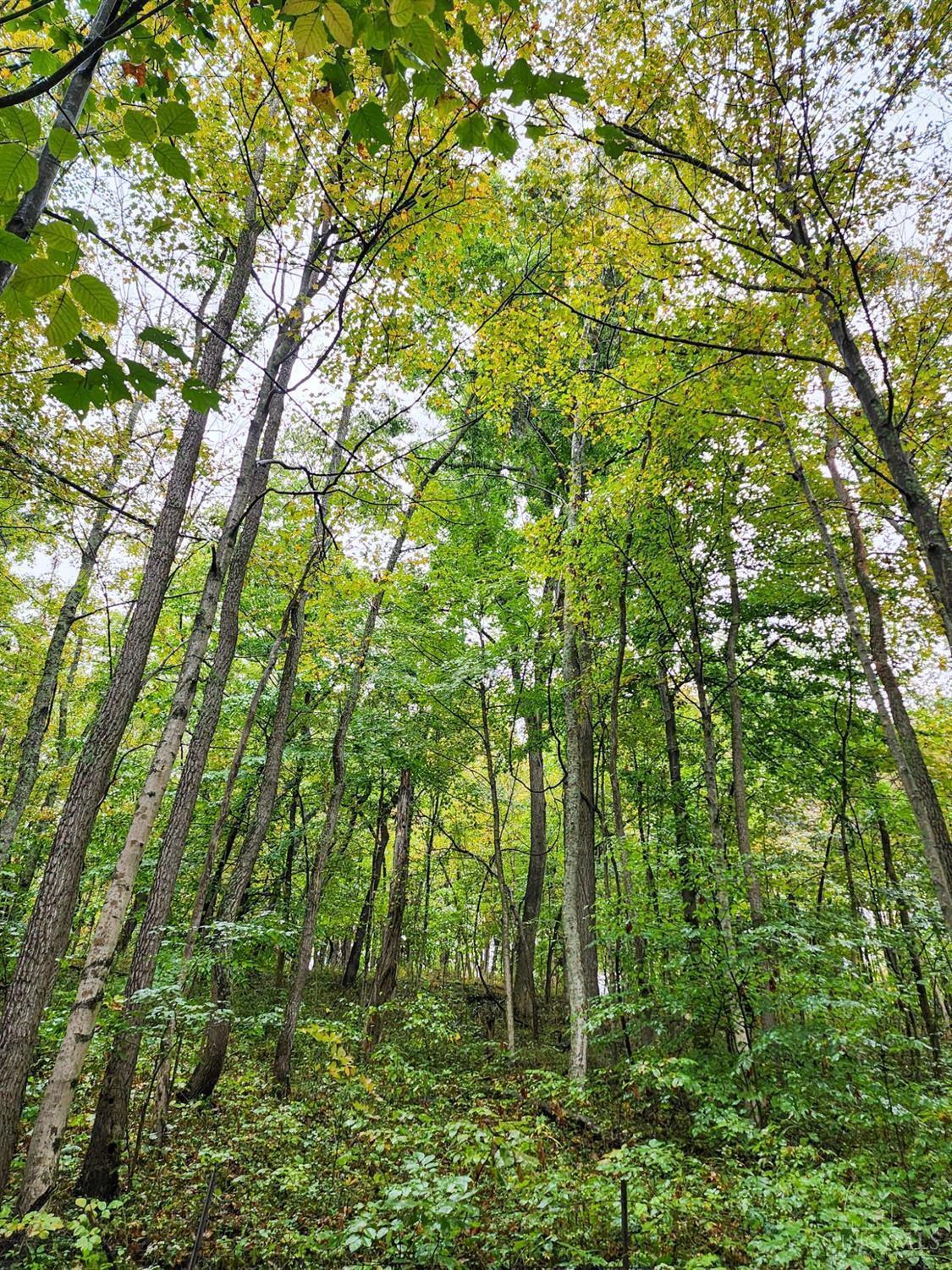 0 Twp Road Willow Wood, OH 45696 - Photo 2 of 9