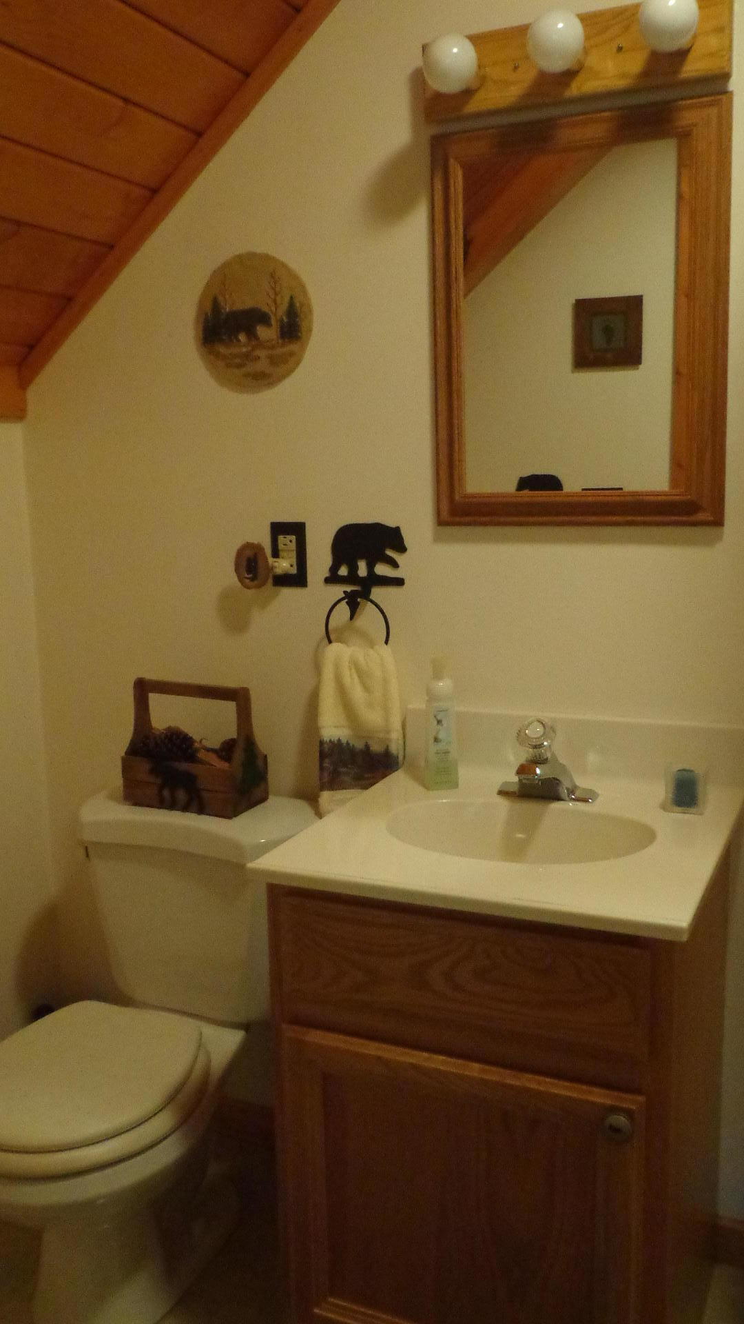 150 Ridgeland Point Sharps Chapel, TN 37866 - Photo 15 of 28 DSC00844