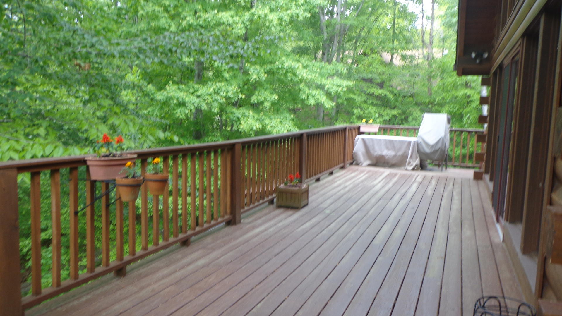 150 Ridgeland Point Sharps Chapel, TN 37866 - Photo 23 of 28 DSC00852