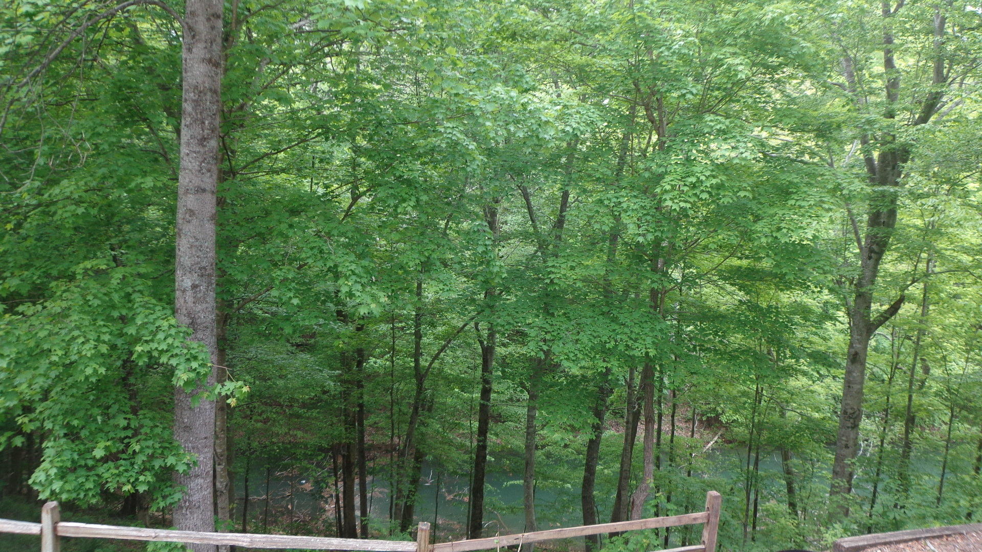 150 Ridgeland Point Sharps Chapel, TN 37866 - Photo 25 of 28 DSC00851