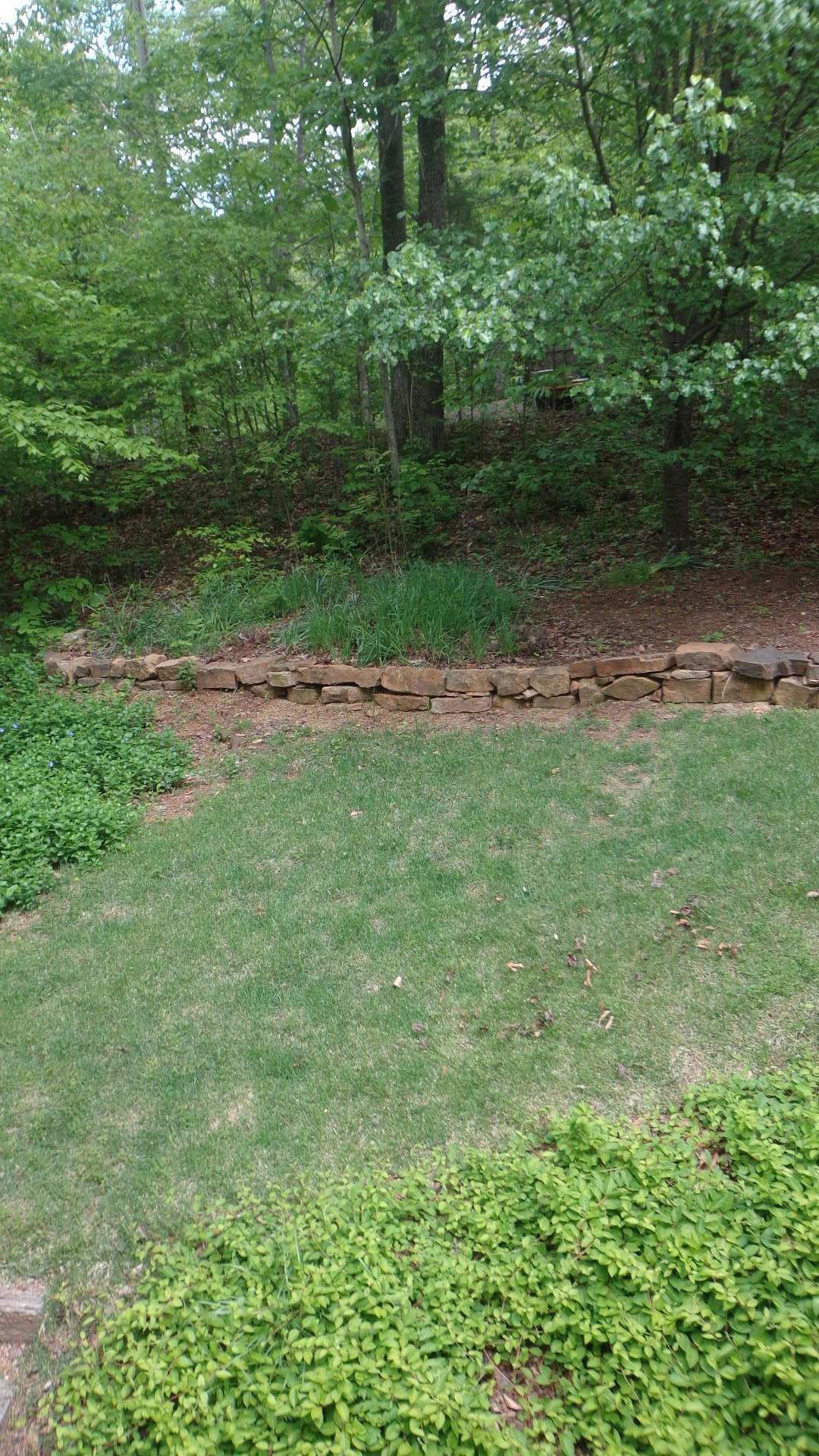 150 Ridgeland Point Sharps Chapel, TN 37866 - Photo 26 of 28 DSC00855