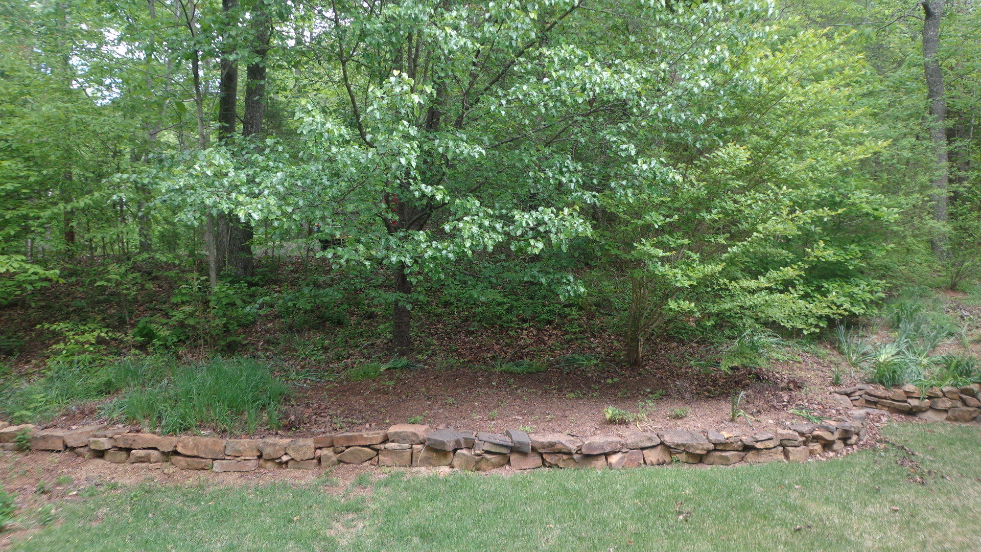 150 Ridgeland Point Sharps Chapel, TN 37866 - Photo 27 of 28 DSC00856