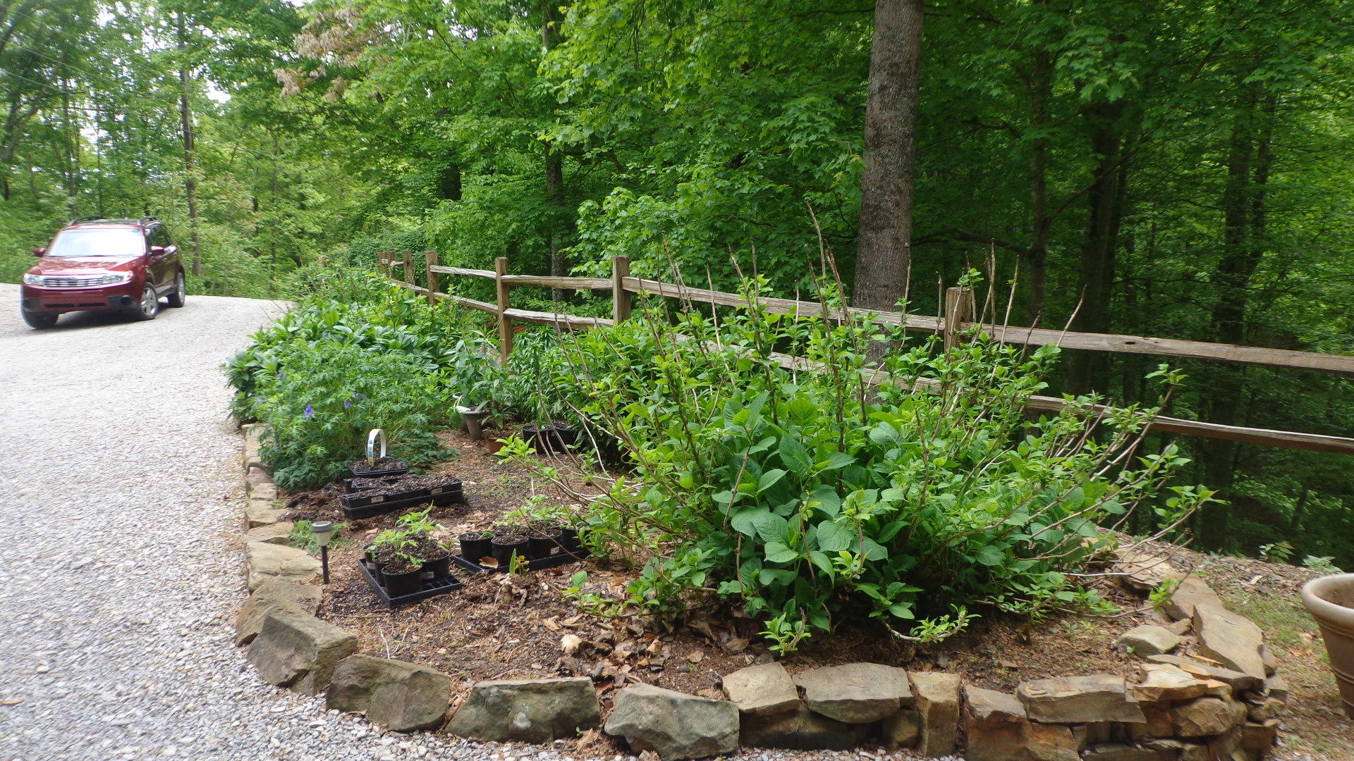 150 Ridgeland Point Sharps Chapel, TN 37866 - Photo 28 of 28 DSC00868