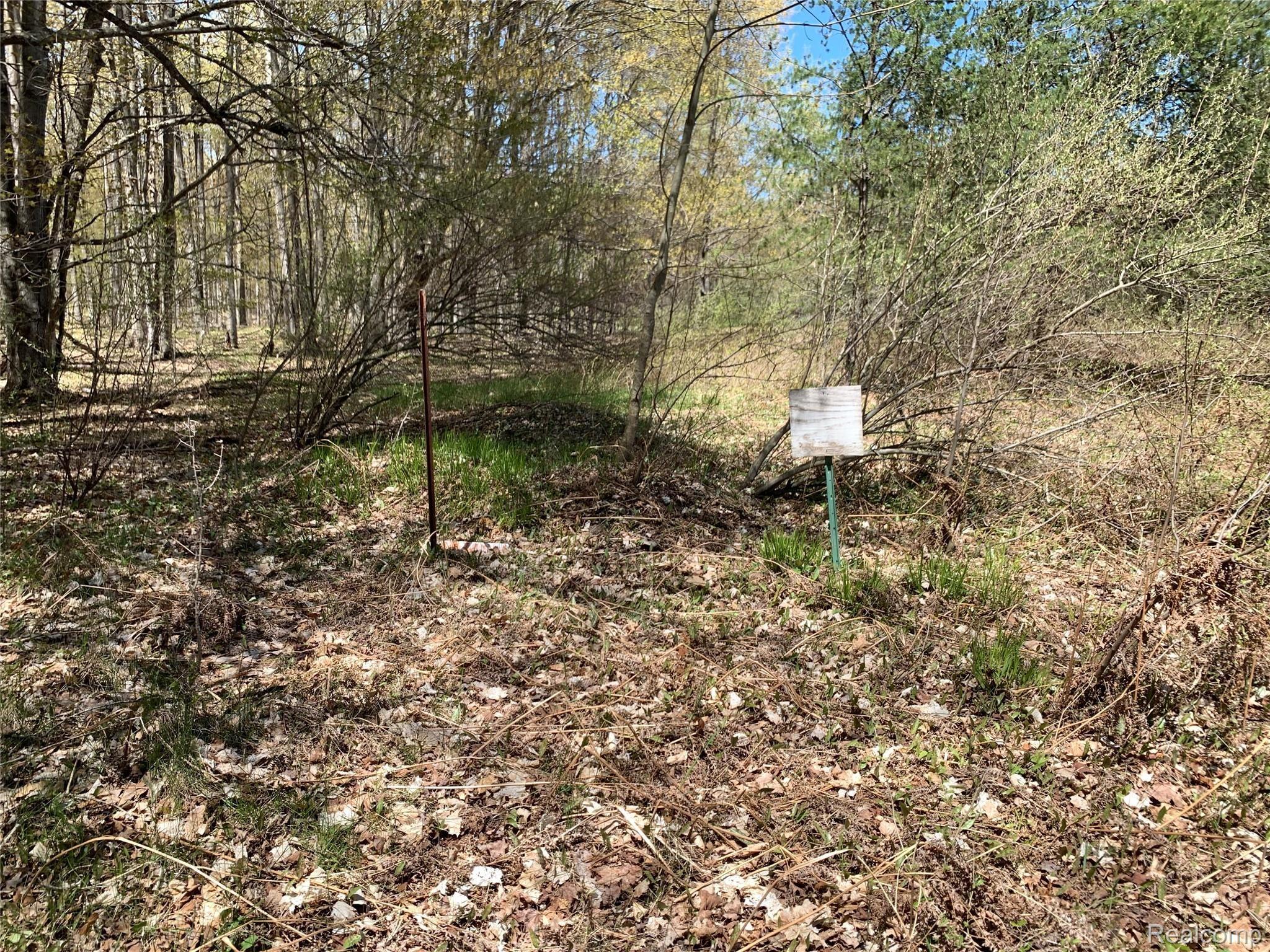 2 West Kneeland Road Mio, MI 48647 - Photo 10 of 13 IMG_2072.JPG