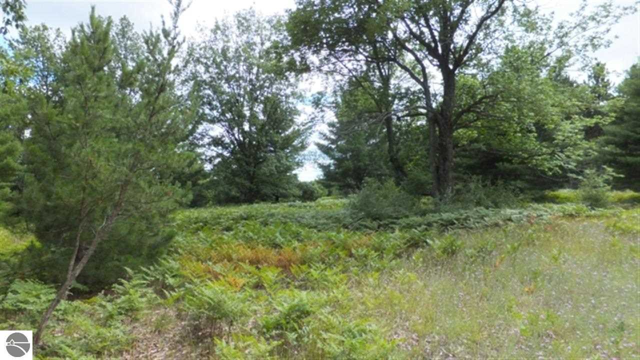 4418 North Broomhead Road Williamsburg, MI 49690 - Photo 4 of 9 1749649-3.JPG