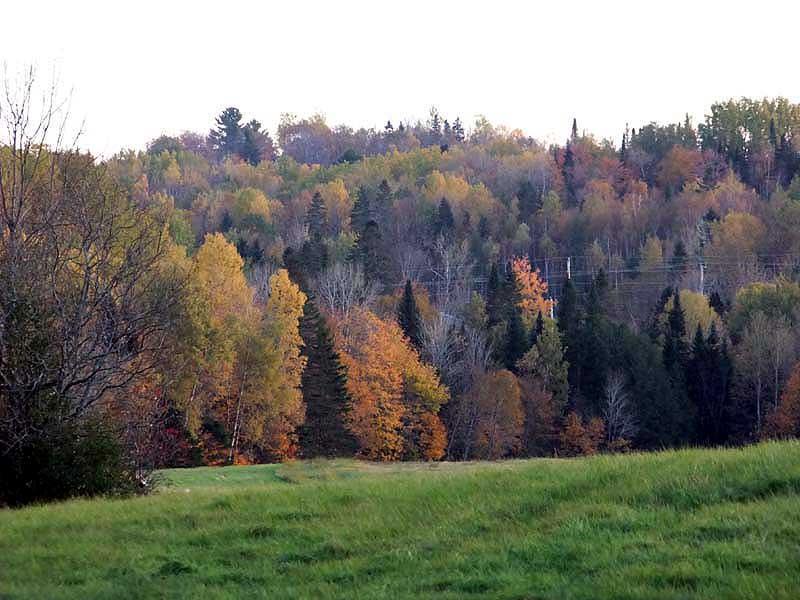 Lot 6 B Road Houlton, ME 04730 - Photo 28 of 35 Photo