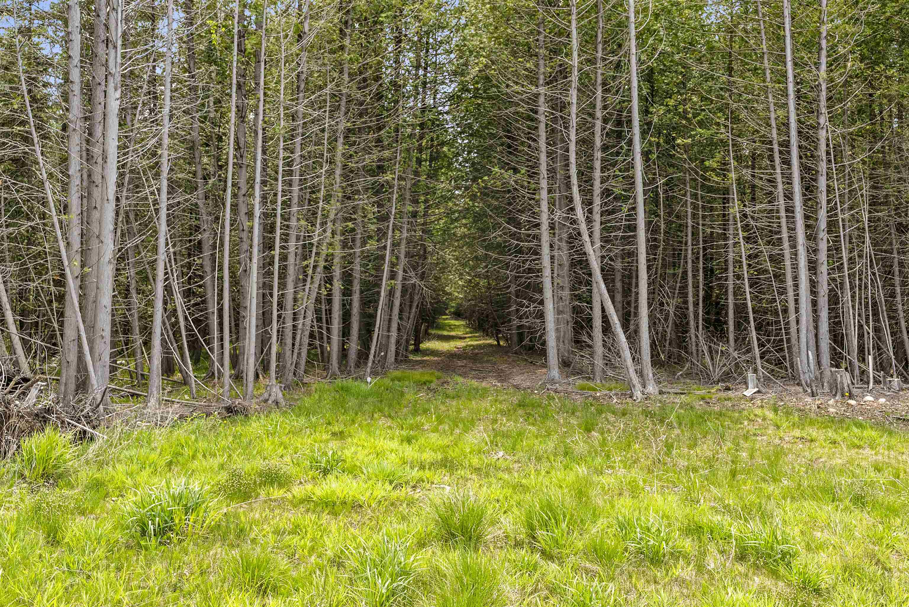 4721 Lake Of The Woods Road Sturgeon Bay, WI 54235 - Photo 12 of 18