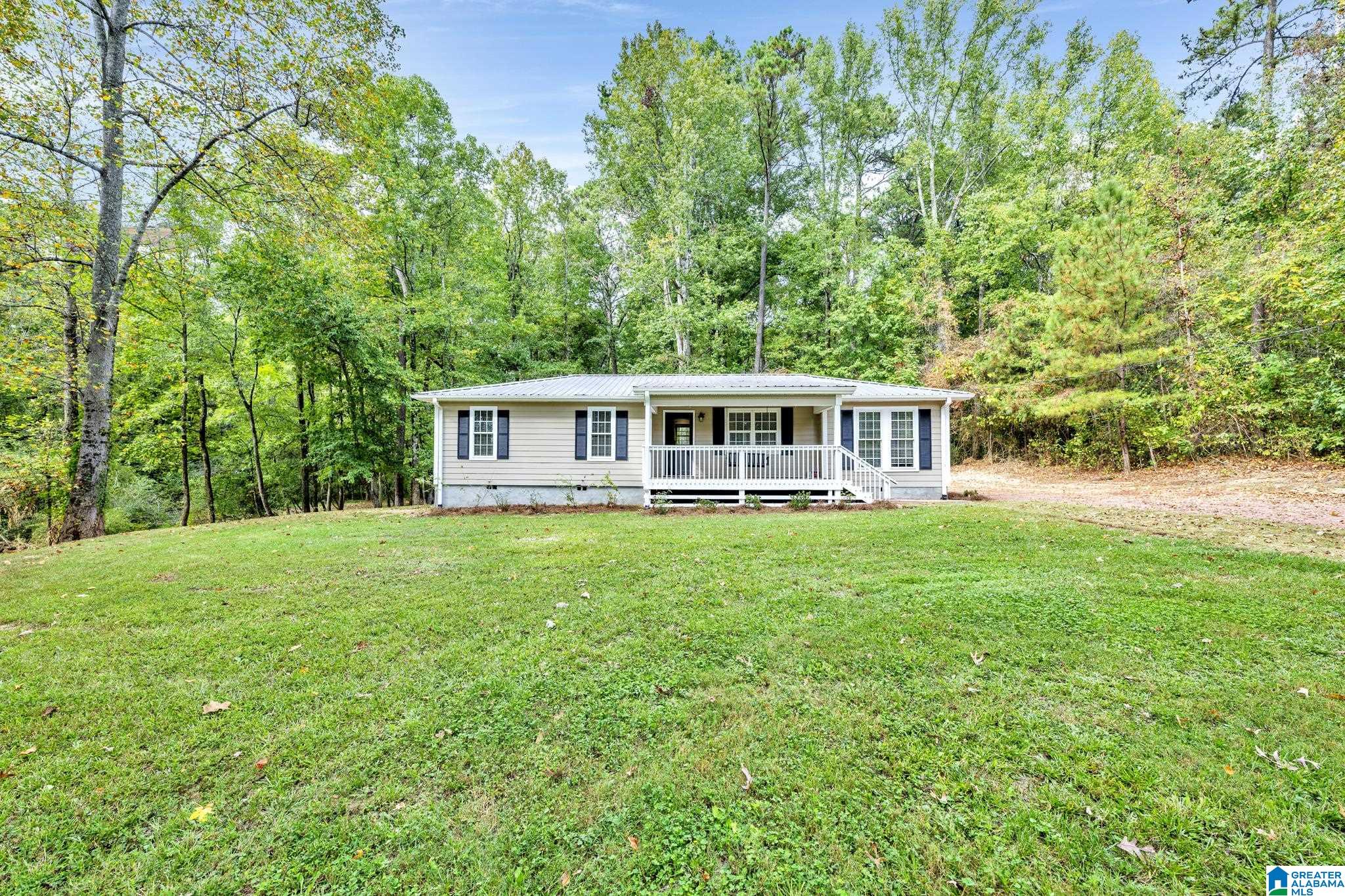10120 County Line Road Dora, AL 35062 - Photo 2 of 25 Gallery Image 2
