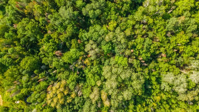 $499,000 | 22148 126th Place, McGrath, MN 56350