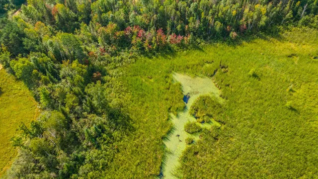 $499,000 | 22148 126th Place, McGrath, MN 56350