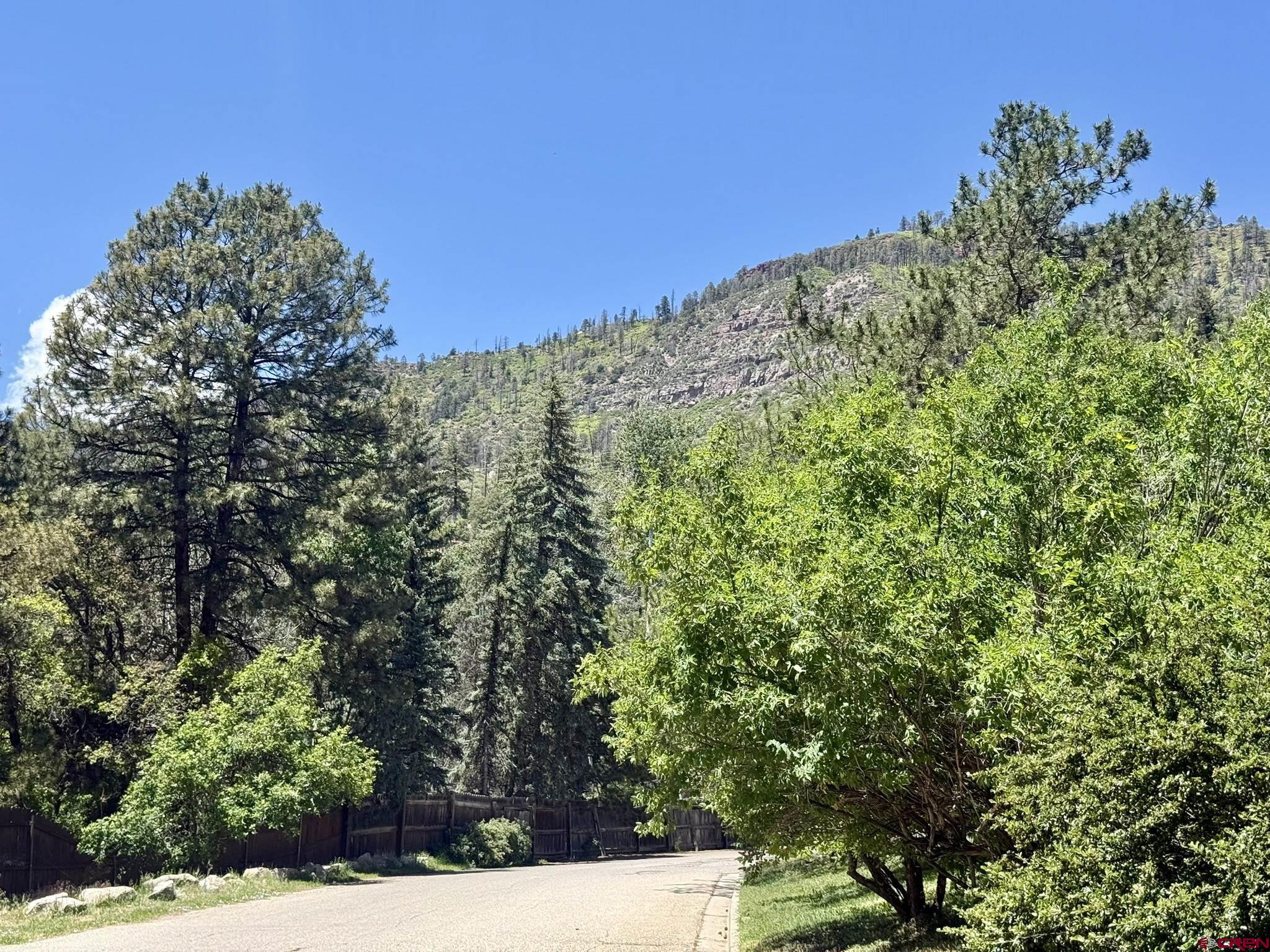 34237 Highway 550, Unit 27 Durango, CO 81301 - Photo 40 of 45 a view of a yard with a tree