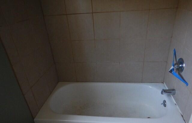 42720 Riggs Road Belleville, MI 48111 - Photo 11 of 13 Bath 2 second picture