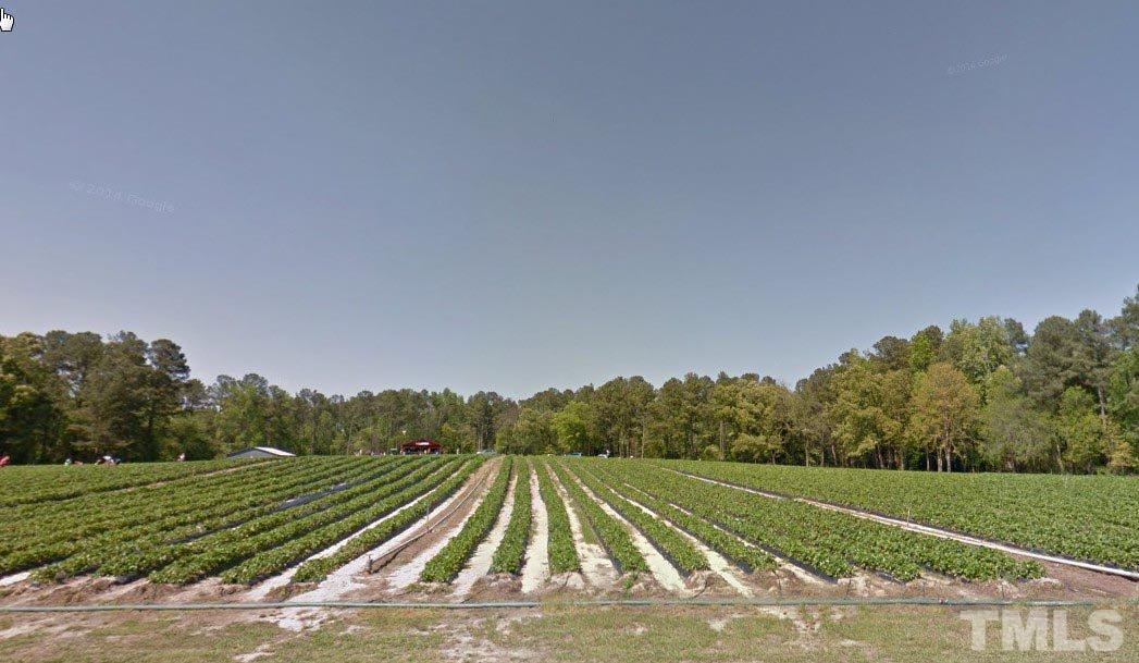 3205 Arden Branch Lane Raleigh, NC 27616 - Photo 22 of 22 a view of a field with trees in the background