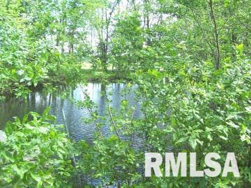 2016 Charlton Road Salem, IL 62881 - Photo 3 of 7
