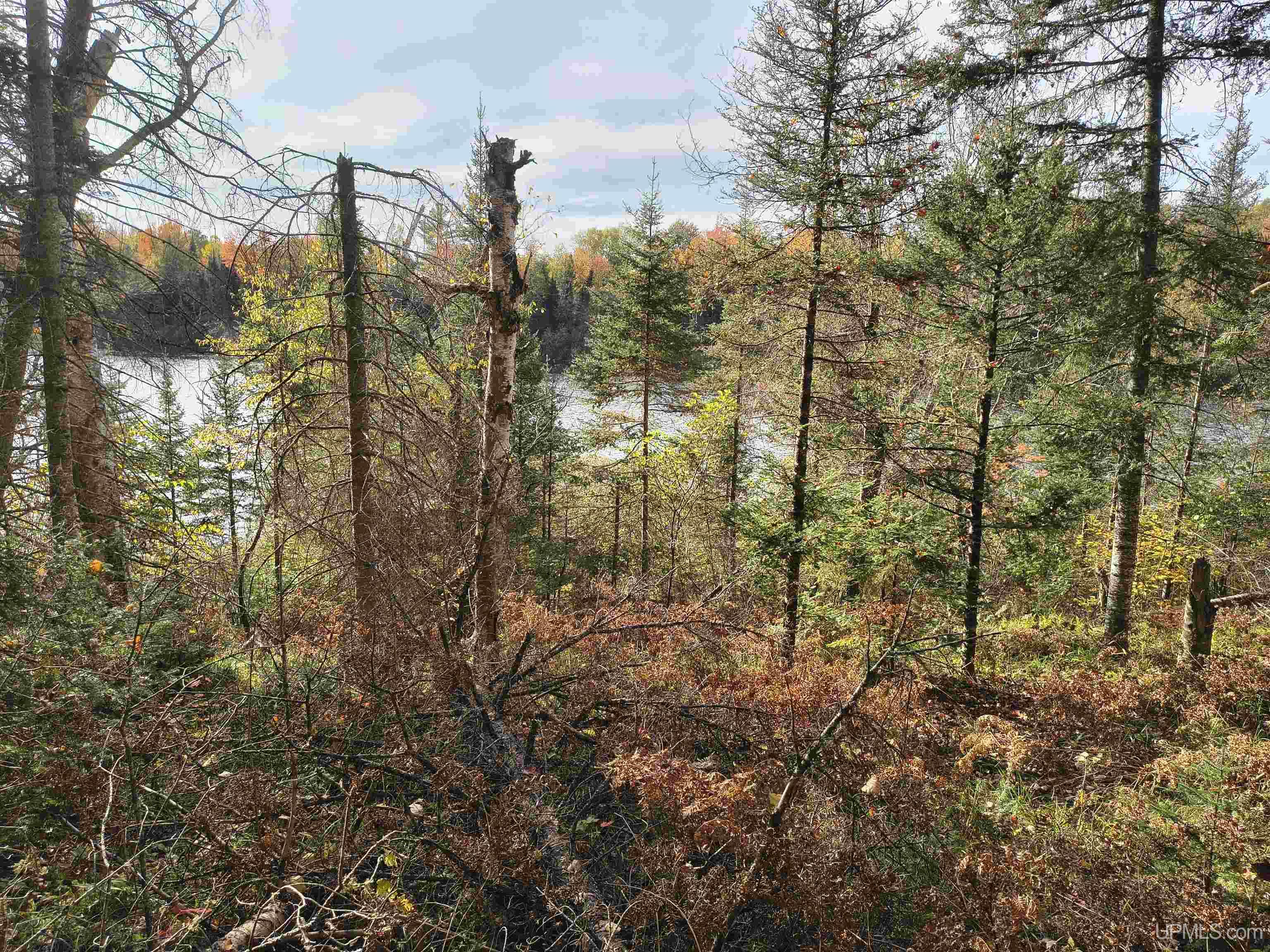 1 Rd Amasa Mi 49903 Road Crystal Falls, MI 49920 - Photo 19 of 33