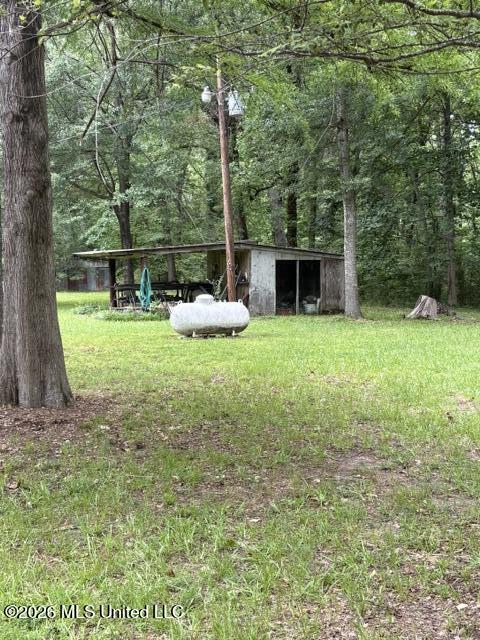 2914 Highway 7 Holcomb, MS 38940 - Photo 23 of 30 More of Yard