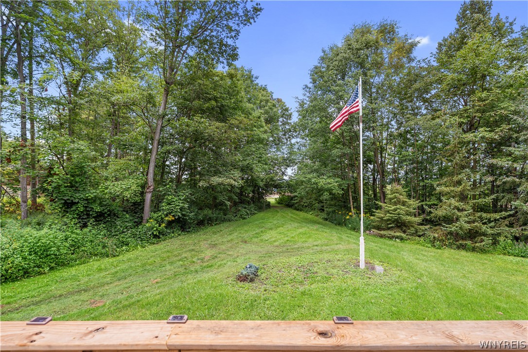 4540 State Route Silver Springs, NY 14550 - Photo 27 of 30 yard