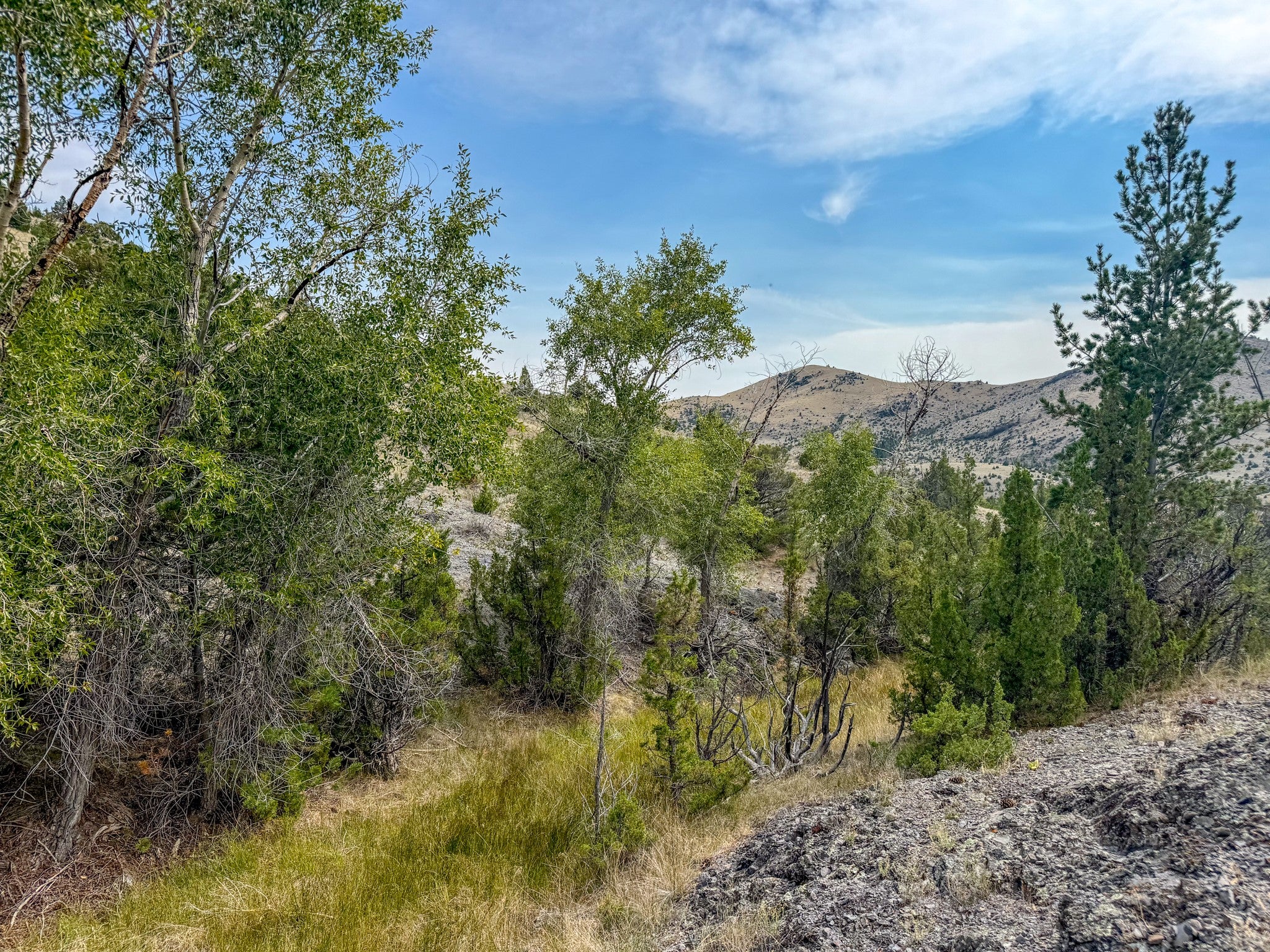 Tbd Tbd Johnny Gulch Road Toston, MT 59643 - Photo 47 of 48 Gallery Image 47