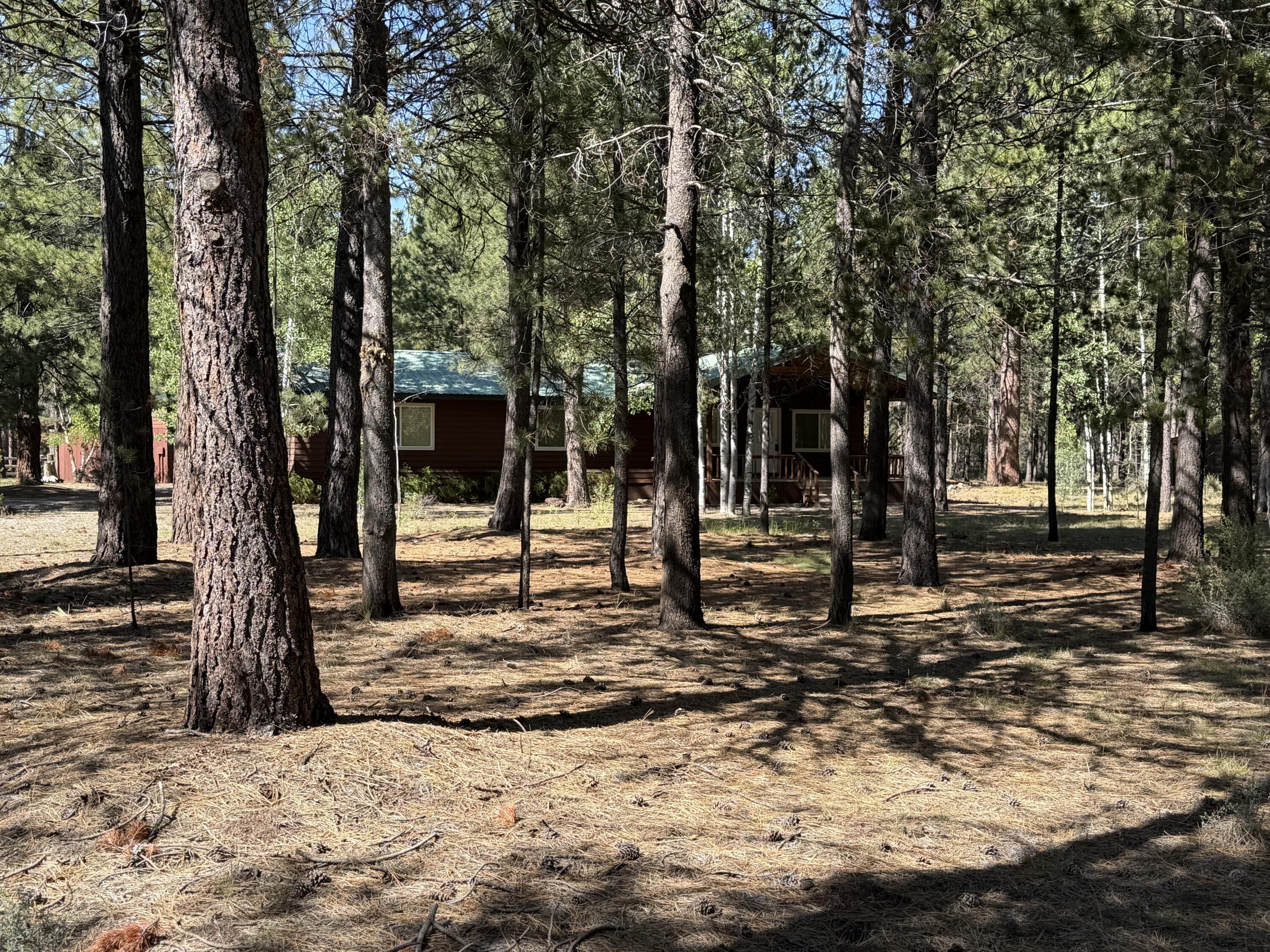 15740 Cornell Road La Pine, OR 97739 - Photo 25 of 54 IMG_2601