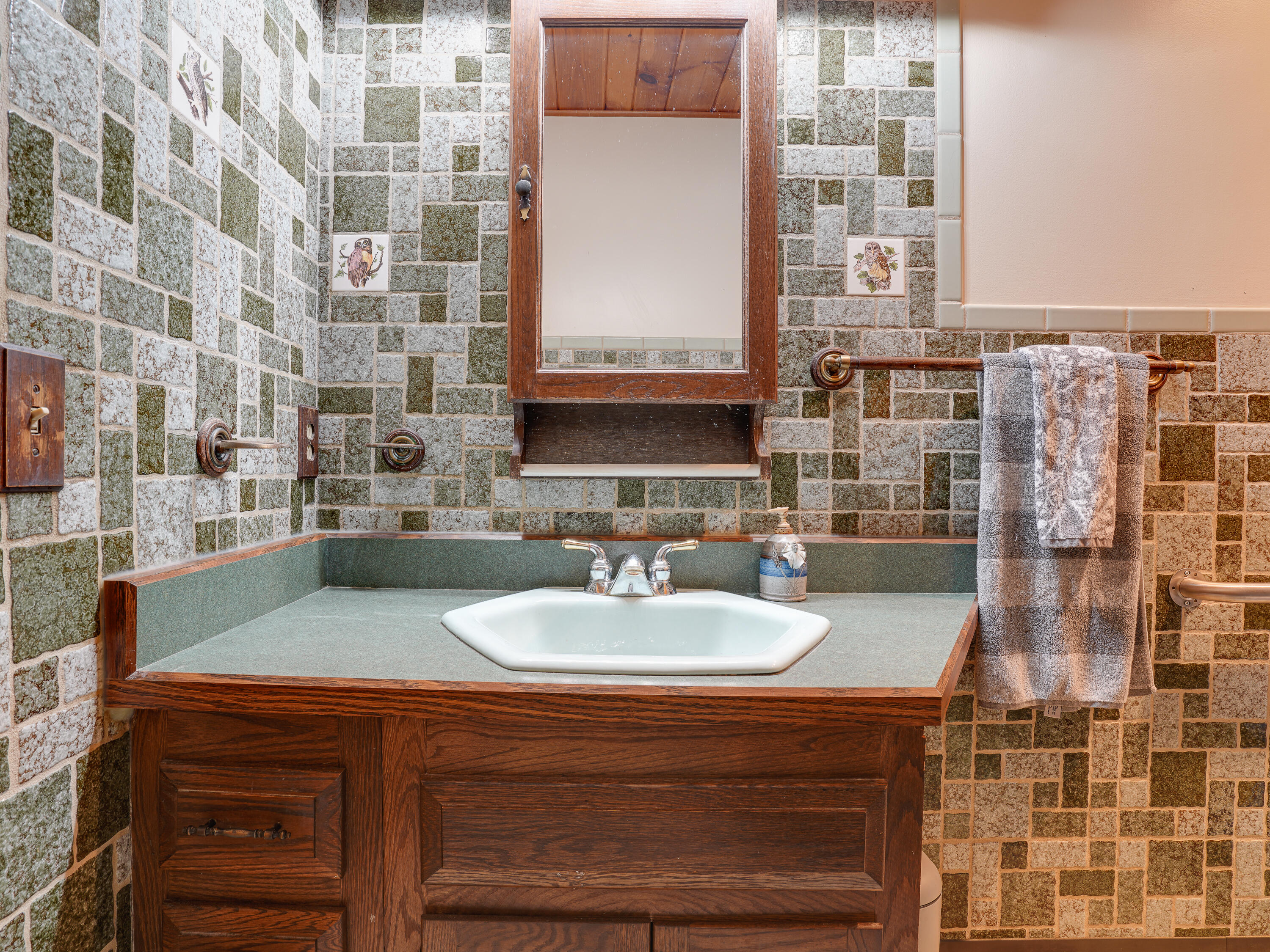 1463 Goodnow Flow Road Newcomb, NY 12852 - Photo 65 of 105 Gallery Image 65
