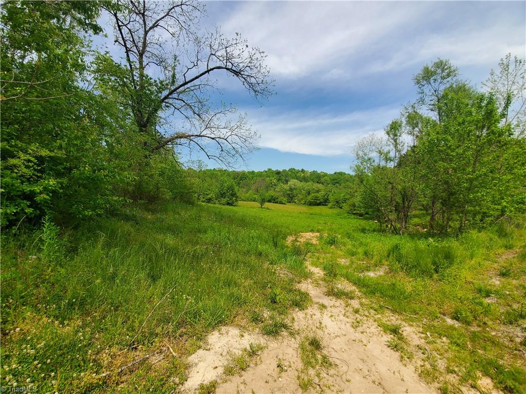 289 Phillips Road Boomer, NC 28606 - Photo 18 of 18 Gallery Image 18